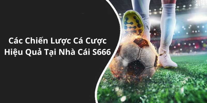 Các Chiến Lược Cá Cược Hiệu Quả Tại Nhà Cái S666