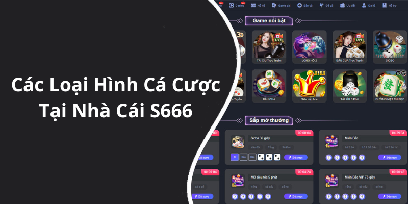 Các Loại Hình Cá Cược Tại Nhà Cái S666