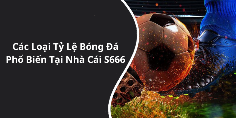 Các Loại Tỷ Lệ Bóng Đá Phổ Biến Tại Nhà Cái S666