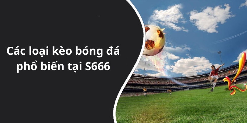 Các loại kèo bóng đá phổ biến tại S666