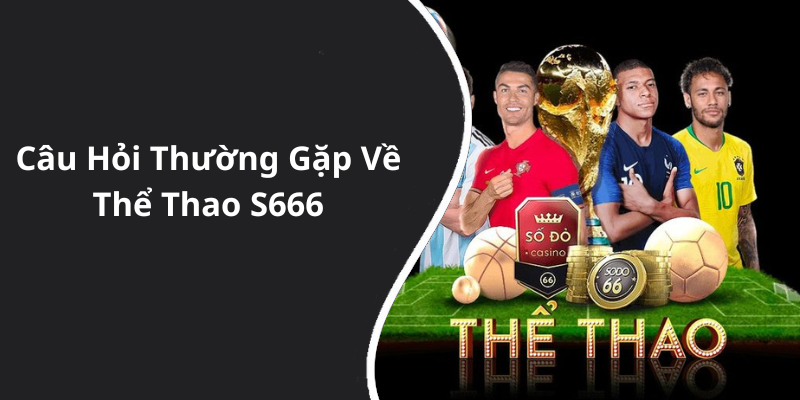 Câu Hỏi Thường Gặp Về Thể Thao S666