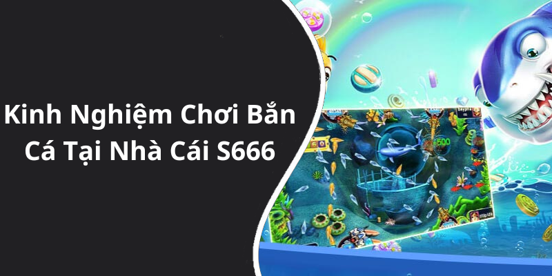 Kinh Nghiệm Chơi Bắn Cá Tại Nhà Cái S666