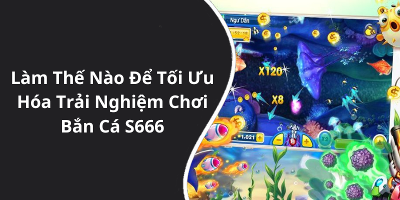 Làm Thế Nào Để Tối Ưu Hóa Trải Nghiệm Chơi Bắn Cá S666