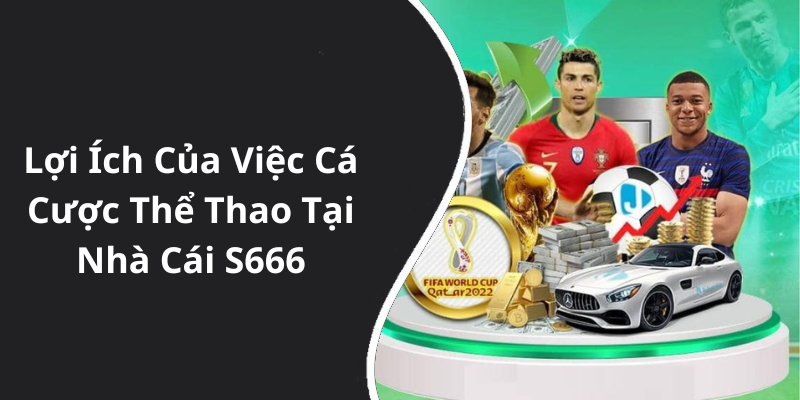 Lợi Ích Của Việc Cá Cược Thể Thao Tại Nhà Cái S666