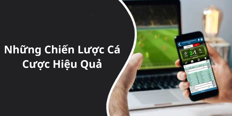 Những Chiến Lược Cá Cược Hiệu Quả