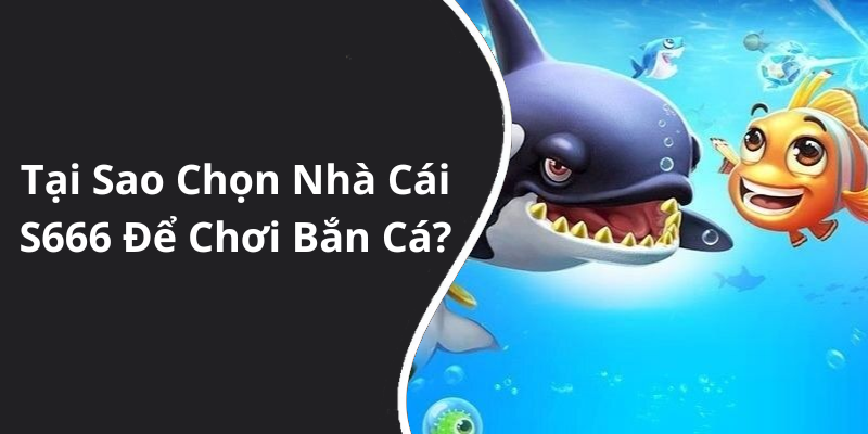 Tại Sao Chọn Nhà Cái S666 Để Chơi Bắn Cá