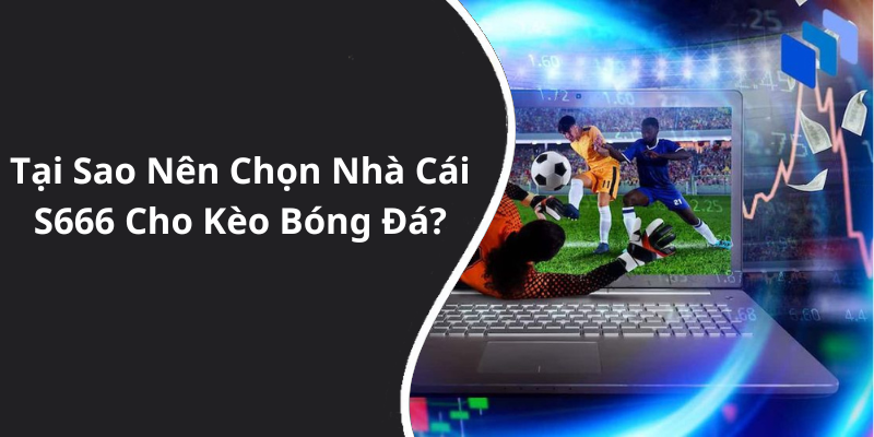 Tại Sao Nên Chọn Nhà Cái S666 Cho Kèo Bóng Đá