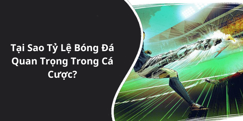 Tại Sao Tỷ Lệ Bóng Đá Quan Trọng Trong Cá Cược