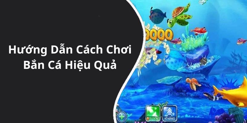 Hướng Dẫn Cách Chơi Bắn Cá Hiệu Quả