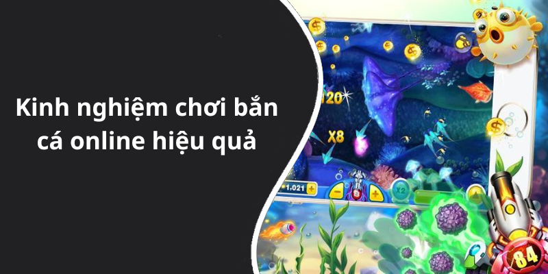 Kinh nghiệm chơi bắn cá online hiệu quả