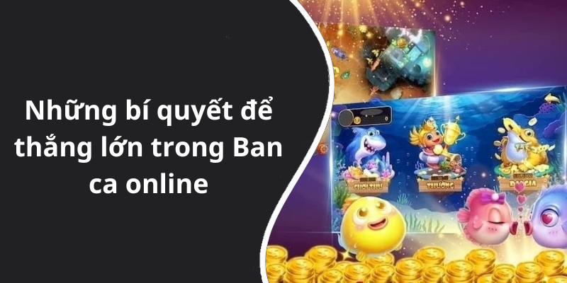 Những bí quyết để thắng lớn trong Ban ca online