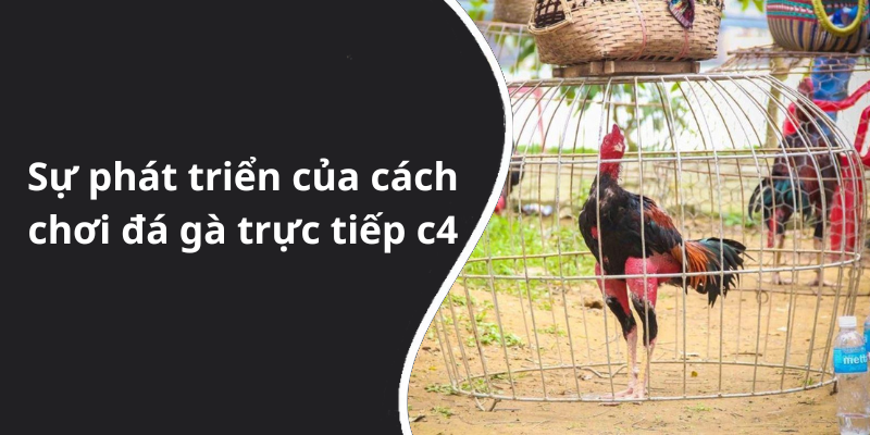 Sự phát triển của cách chơi đá gà trực tiếp c4