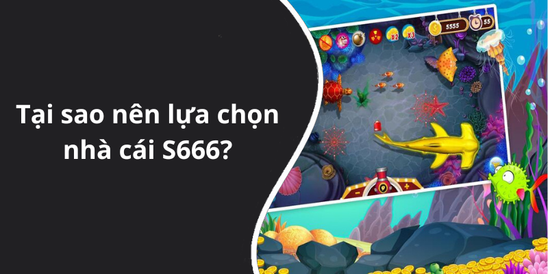 Tại sao nên lựa chọn nhà cái S666