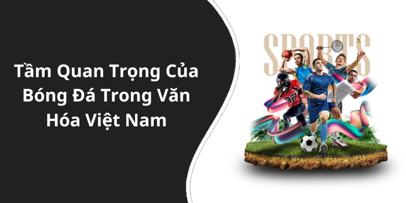 Tầm Quan Trọng Của Bóng Đá Trong Văn Hóa Việt Nam