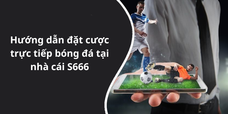 Hướng dẫn đặt cược trực tiếp bóng đá tại nhà cái S666