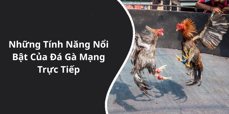 Những Tính Năng Nổi Bật Của Đá Gà Mạng Trực Tiếp