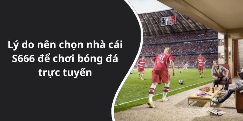 Lý do nên chọn nhà cái S666 để chơi bóng đá trực tuyến
