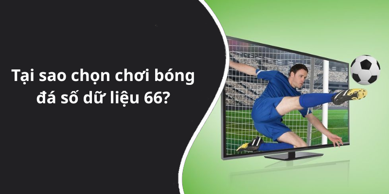 Tại sao chọn chơi bóng đá số dữ liệu 66