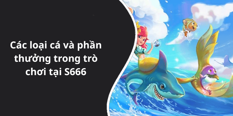 Các loại cá và phần thưởng trong trò chơi tại S666